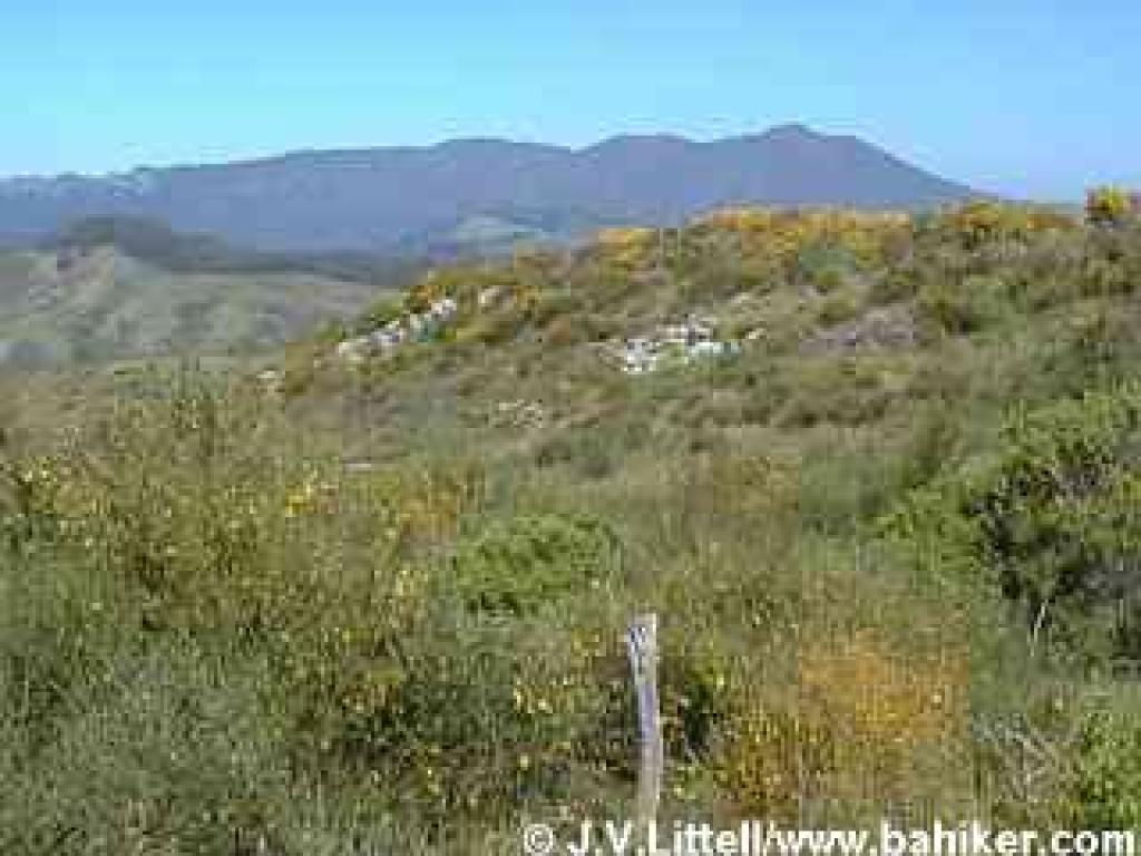 View north to Tam