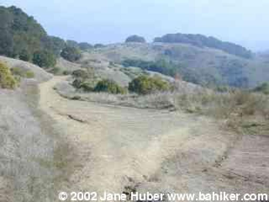 Sleepy Hollow Fire Road