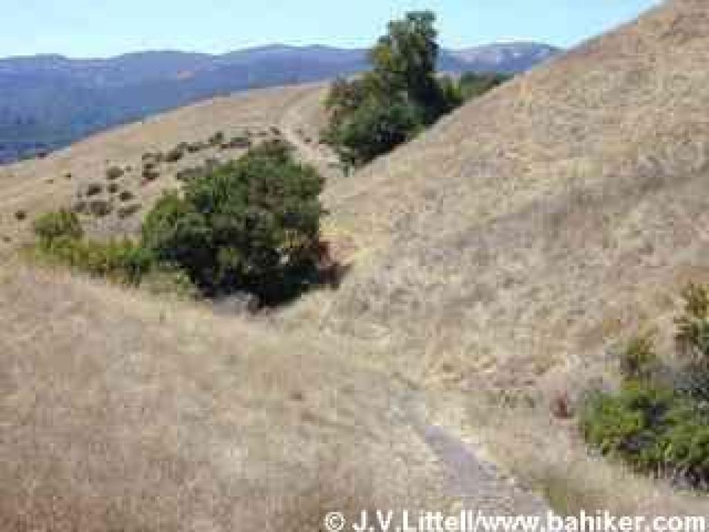 Footpath shortcuts the fire road