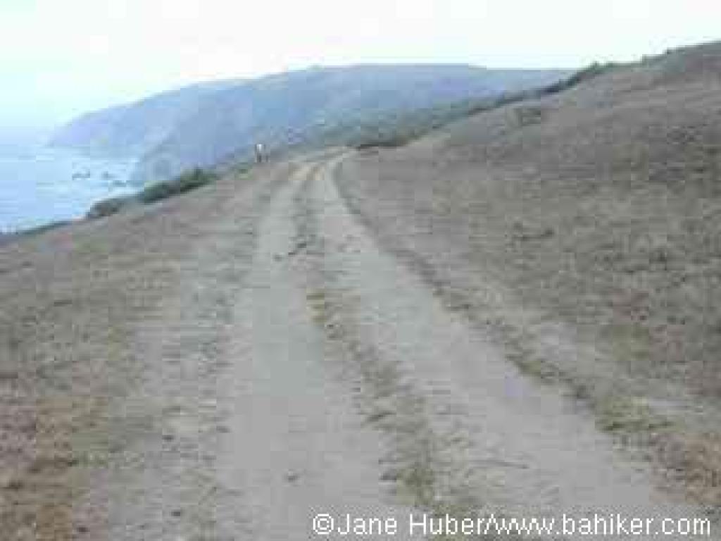 Tomales Point Trail 