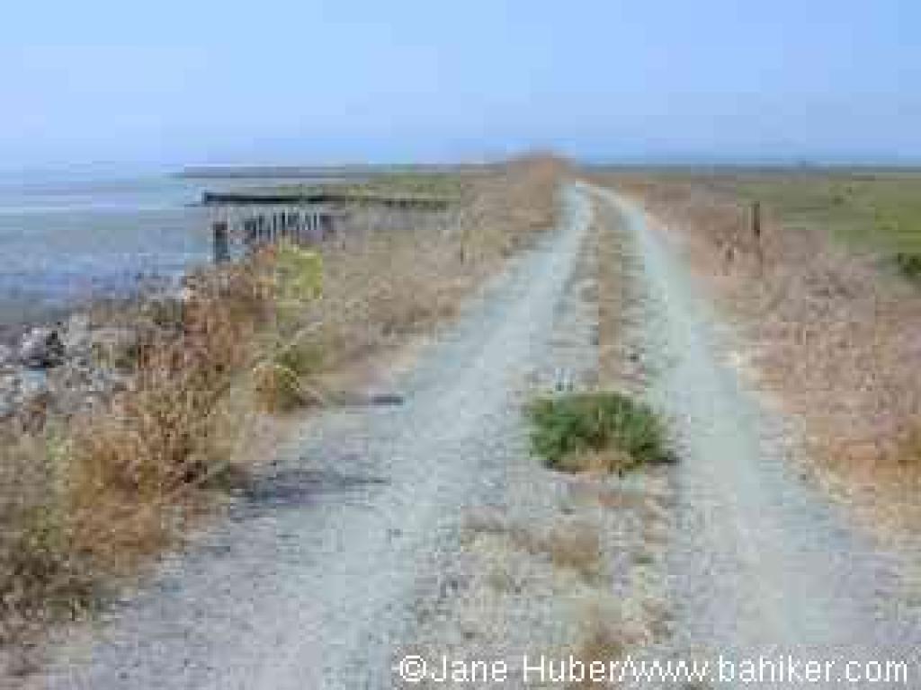 Bay Trail