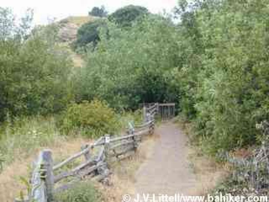 Near Islais Creek