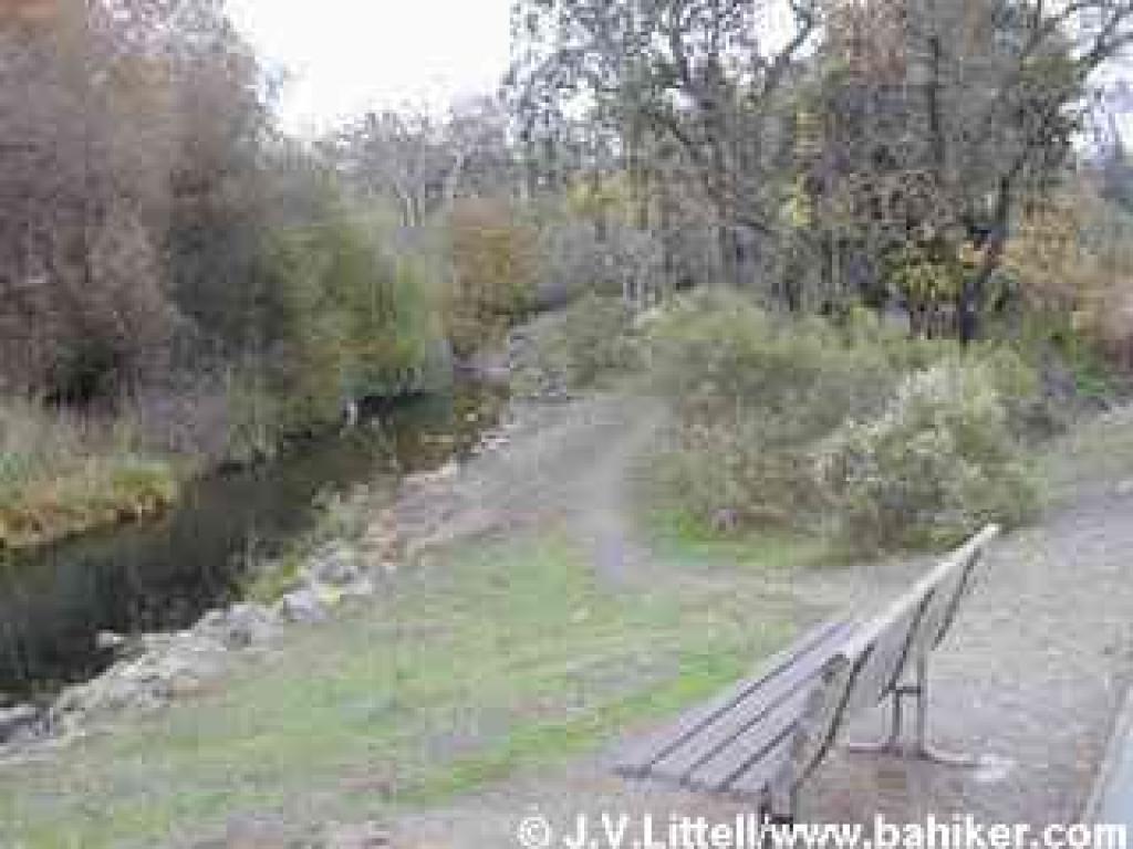 Bench and creek view