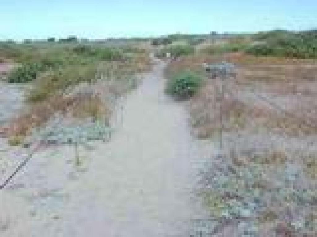 Sandy trail