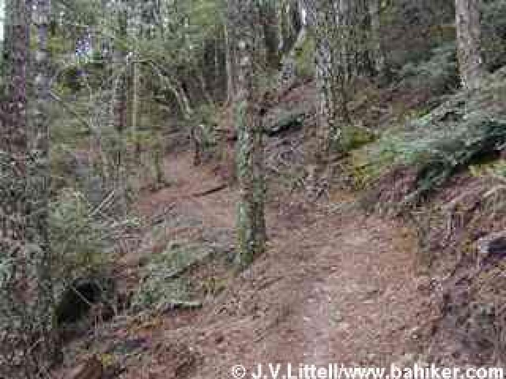 Whitehouse Ridge Trail