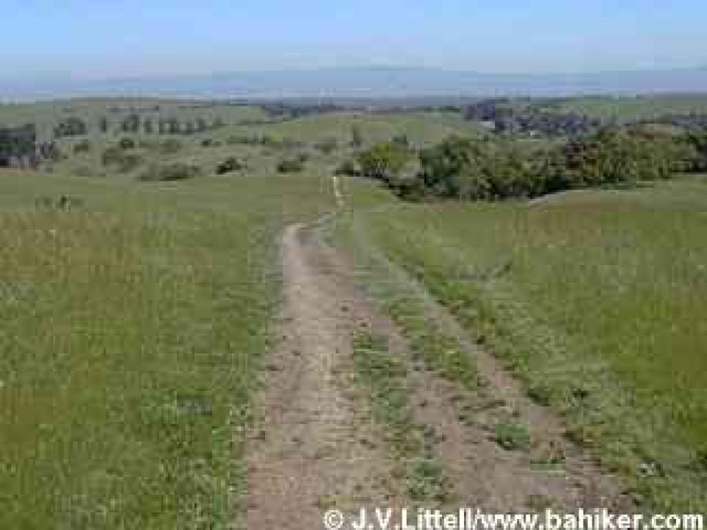Meadowlark Trail