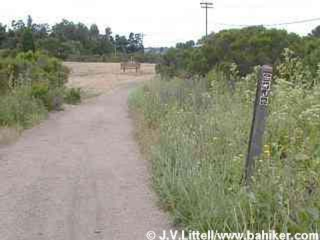 Corte Madera Trail in late spring