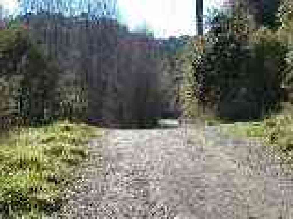 Junction with another trail named Acorn
