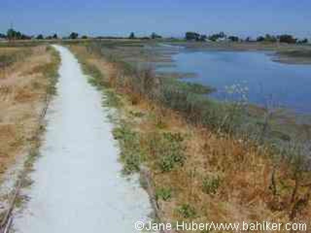 Marsh Front Trail