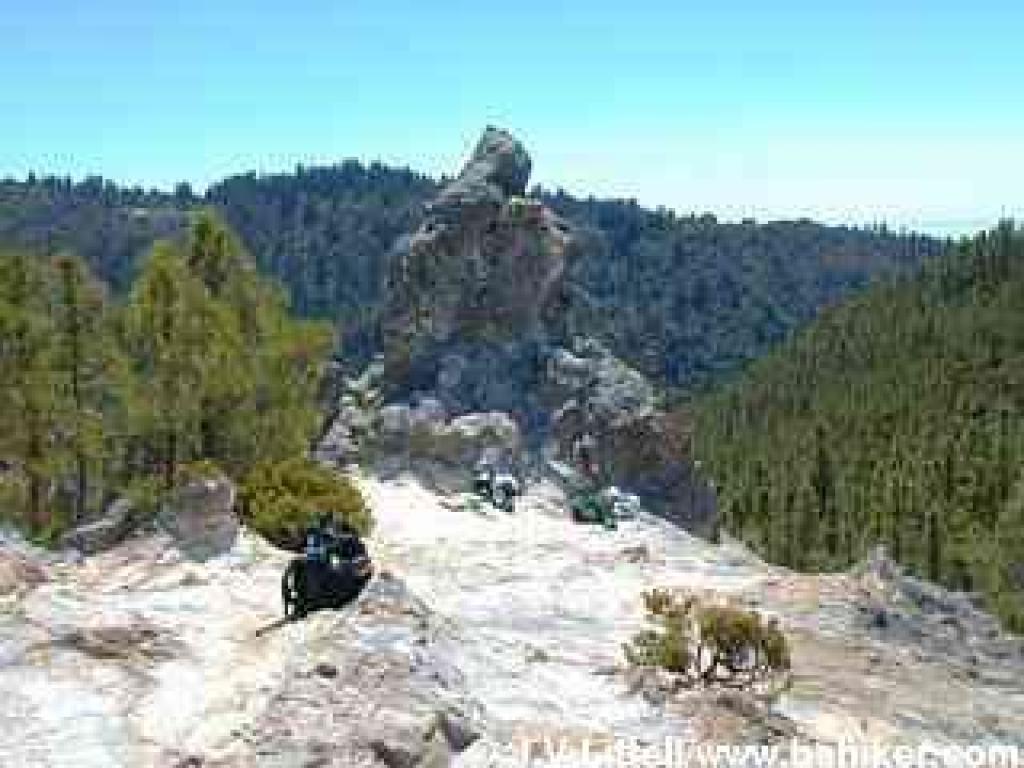 Buzzard's Roost
