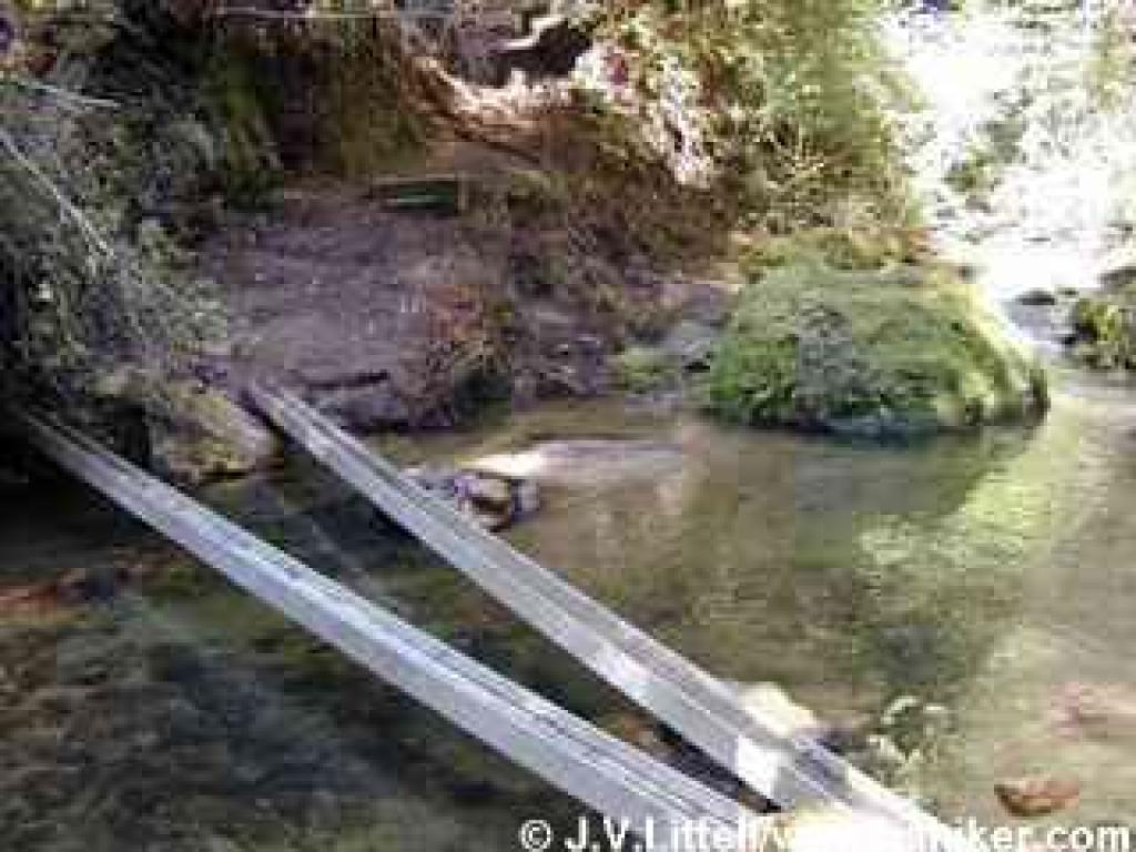 Crossing Waddell Creek