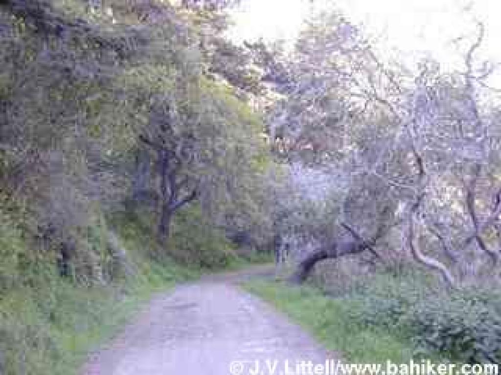 Skyline to the Sea Trail