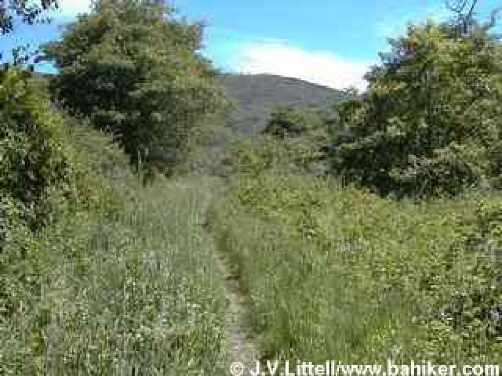 A "wide" stretch of path which continues east past the barn