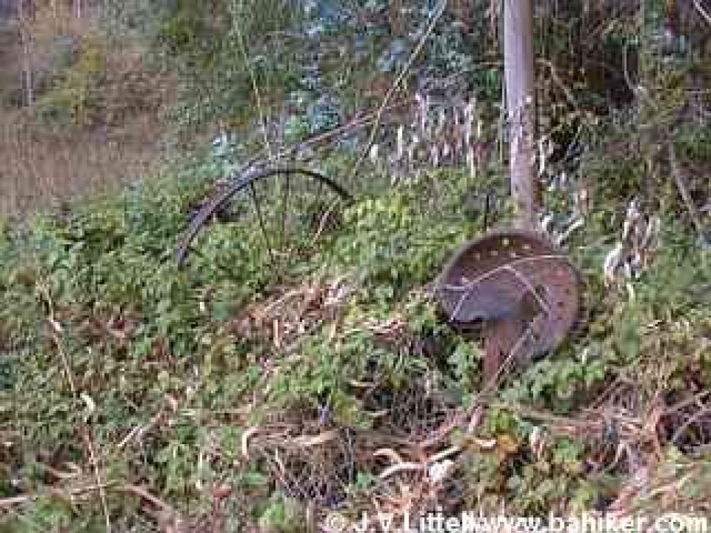 Rusting old farm equipment