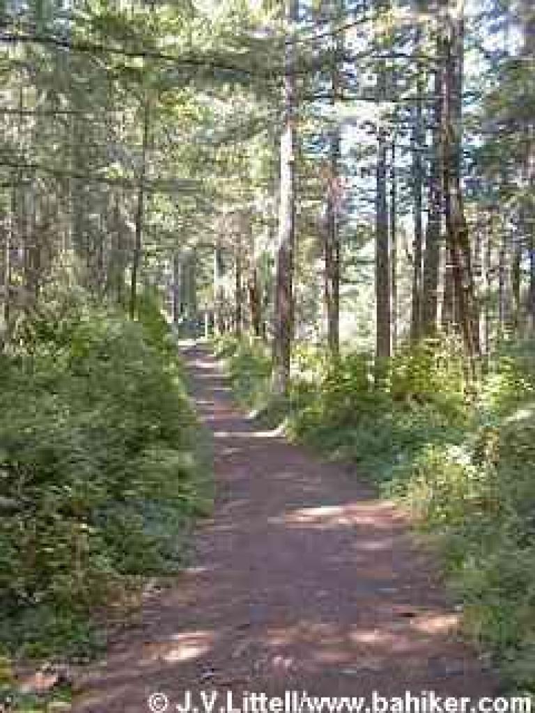 Olmo Fire Road