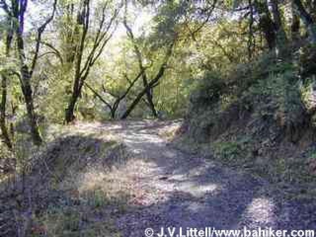 Alpine Road