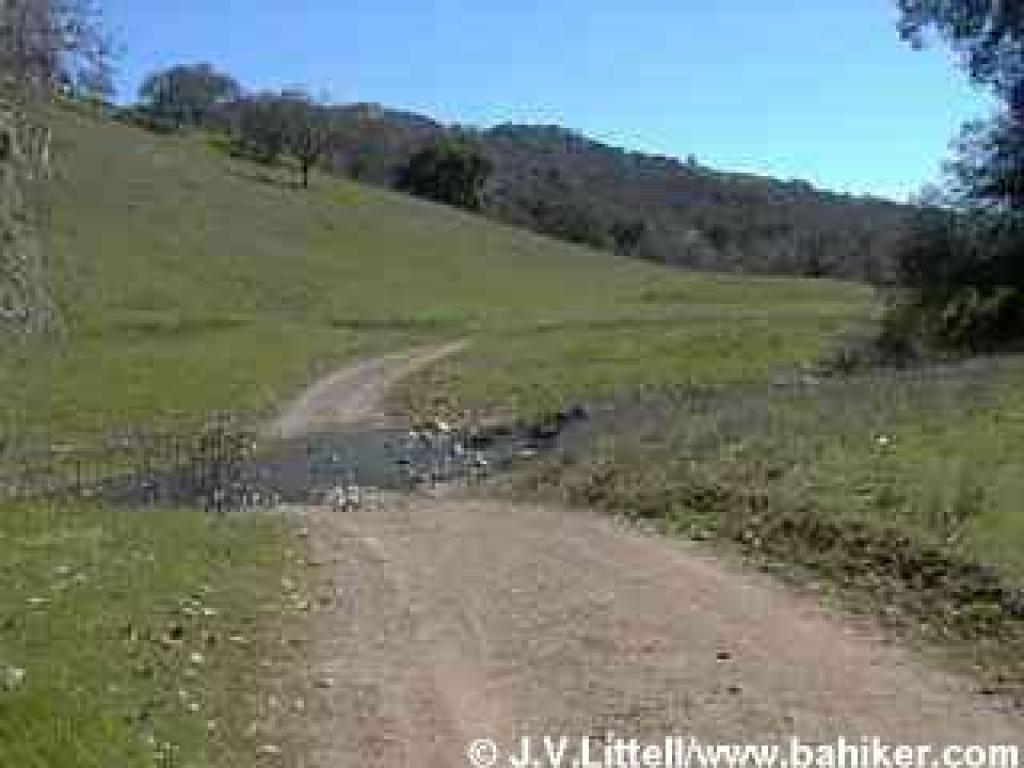 Creek Crossing