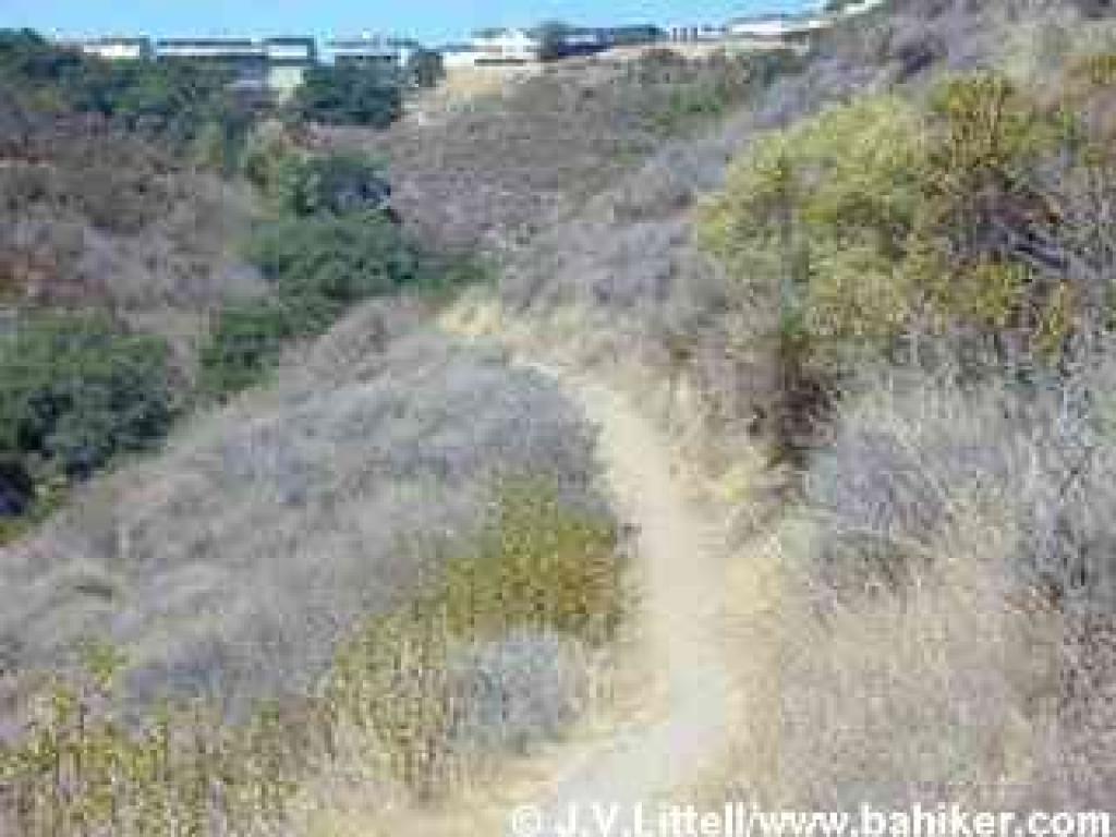 Big Canyon Trail