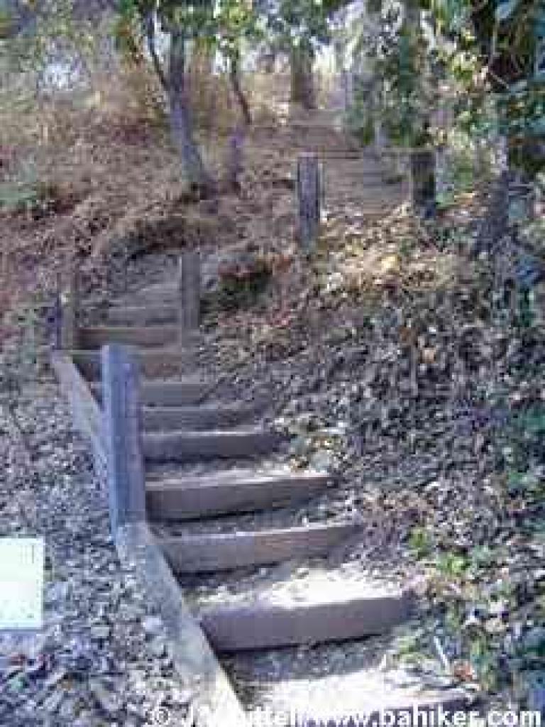 Steps from Brittan Avenue back into Eaton Park