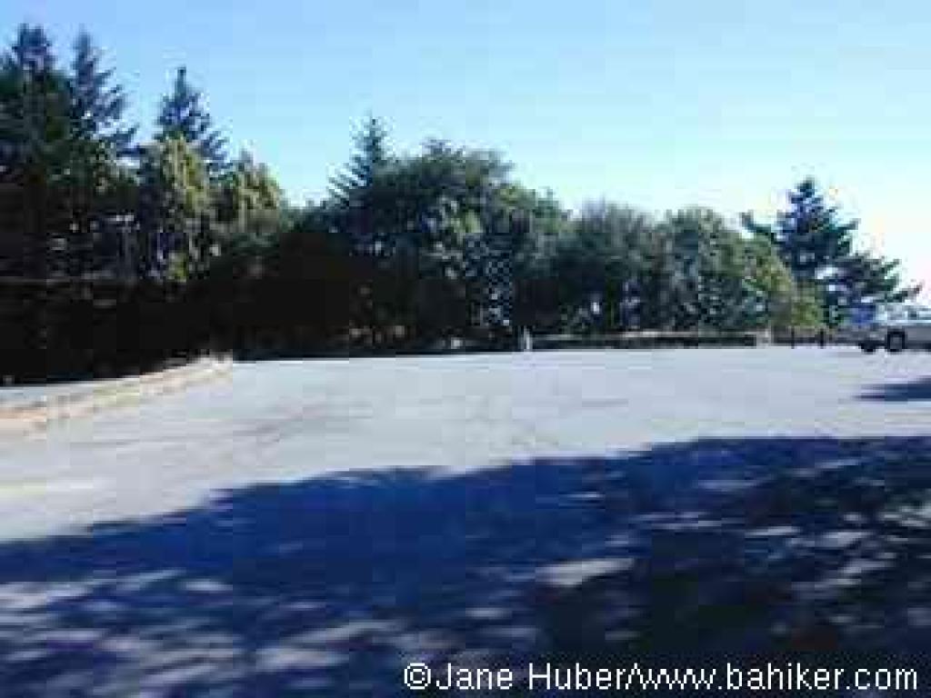 Skeggs Point Trailhead