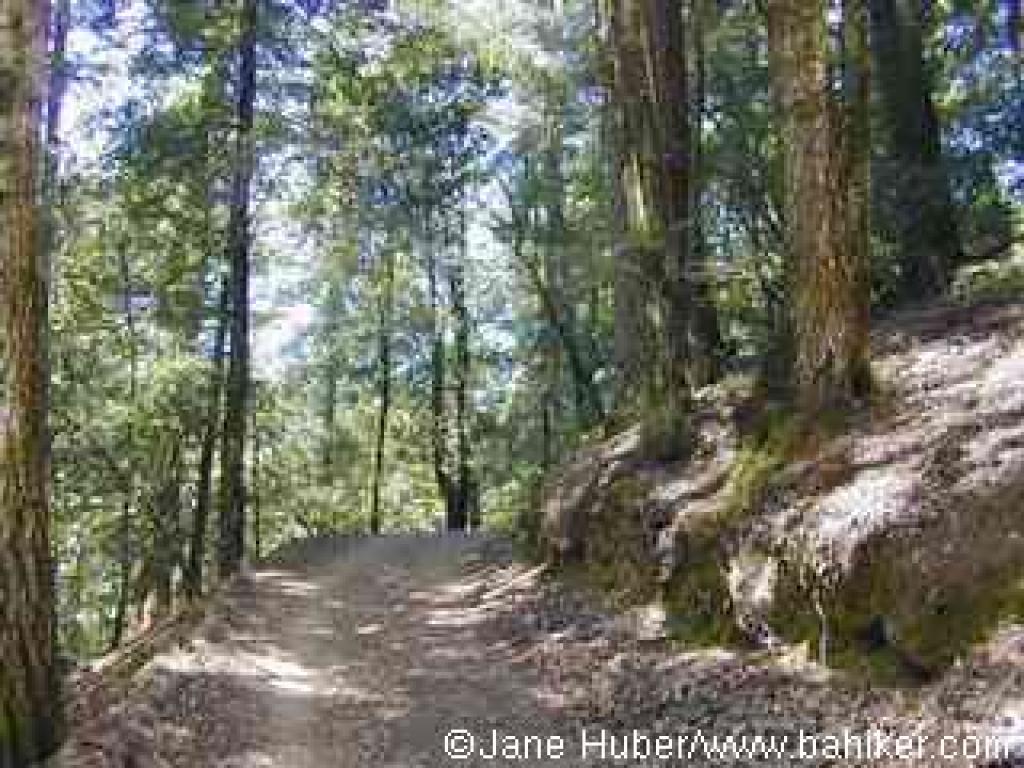 Tafoni Trail