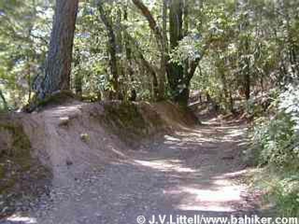 Bike cuts on the outslope of a trail at El Corte de Madera