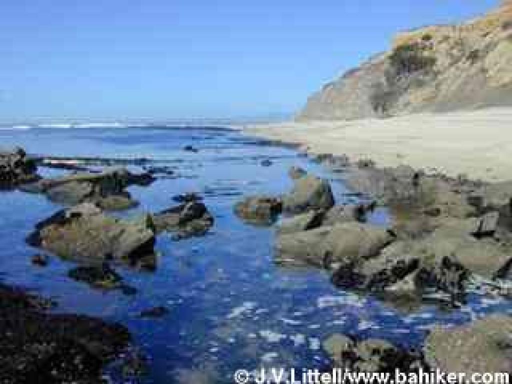 Tidepools