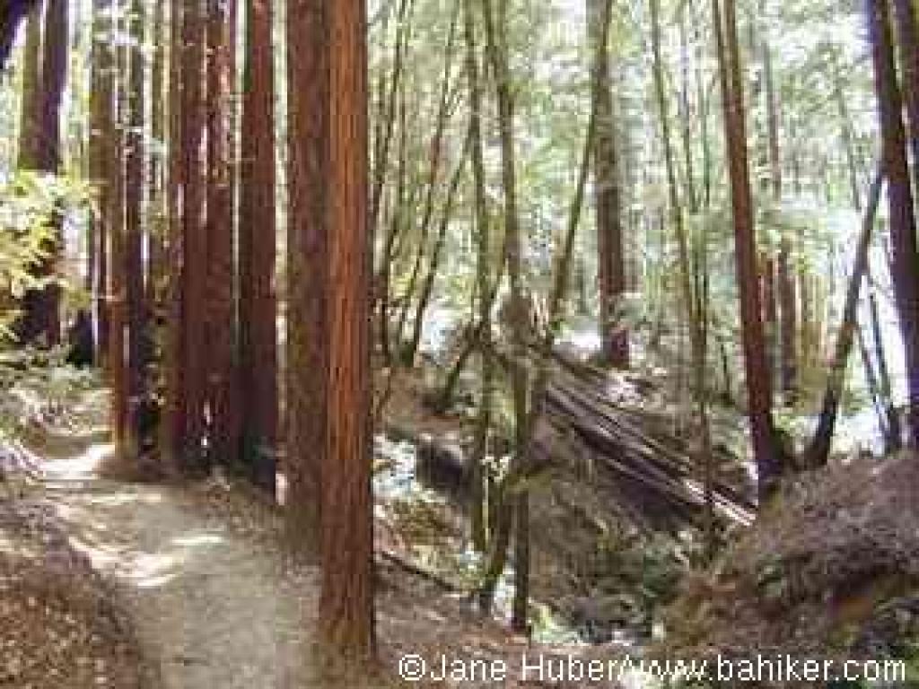 Eagle Creek Trail