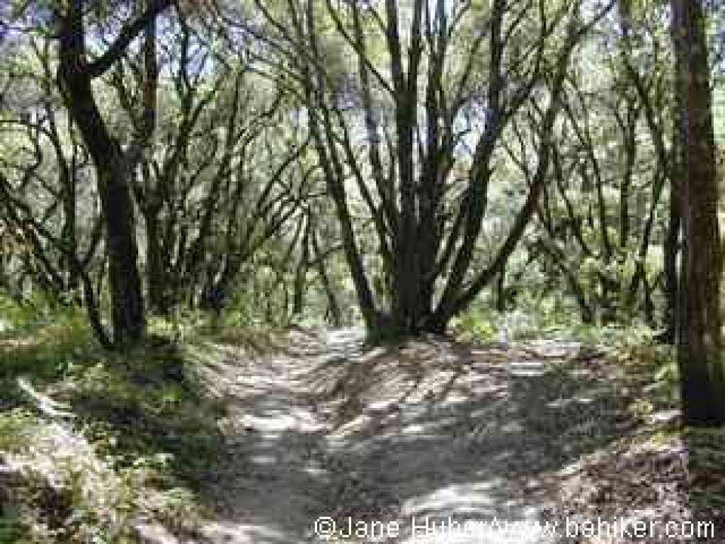 Eagle Creek Trail