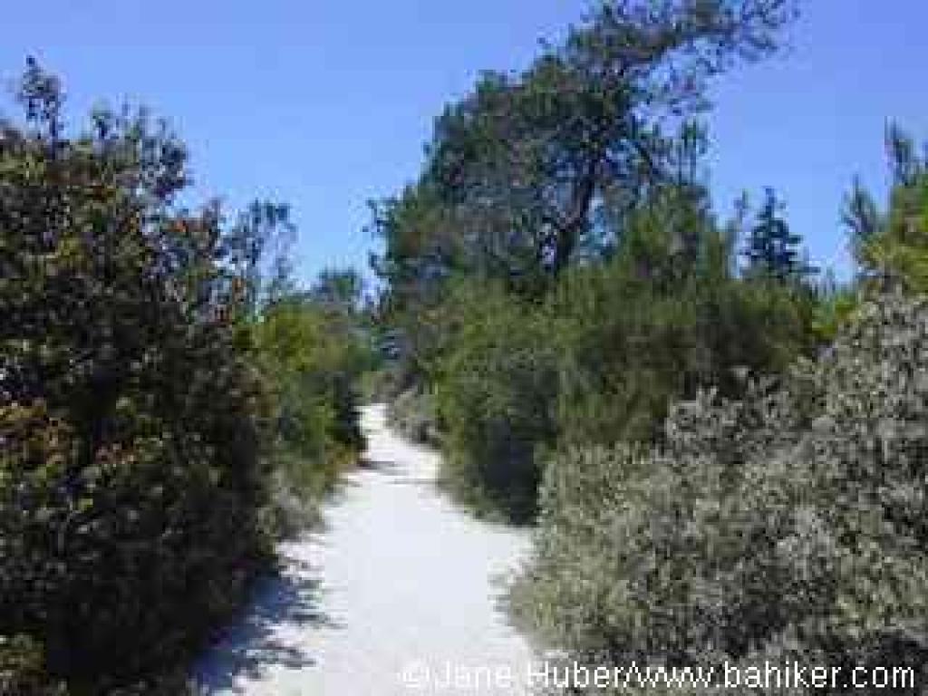 Ridge Fire Road