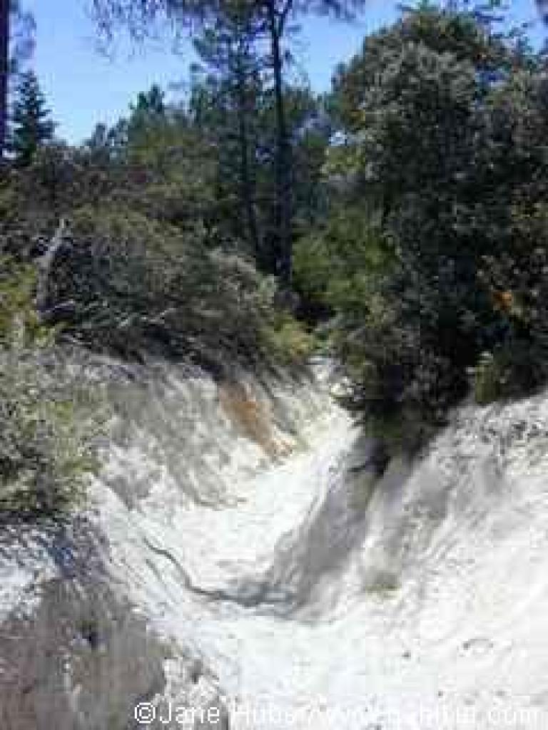 Ridge Fire Road