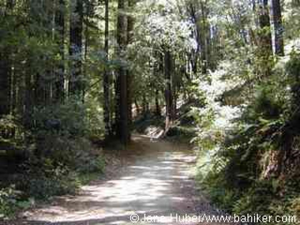 Pipeline Road