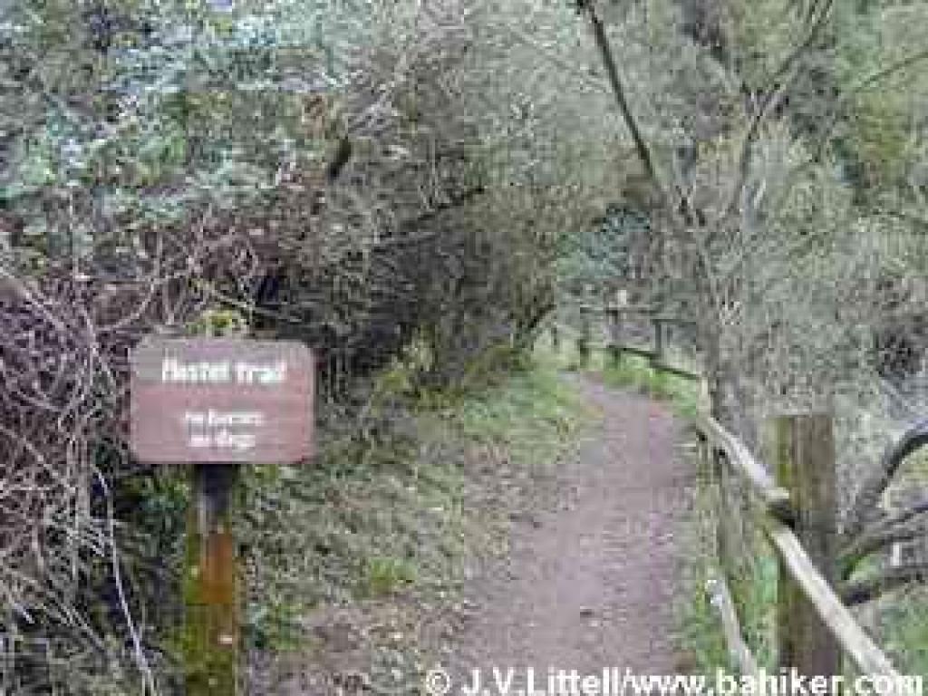 Hostel Trail