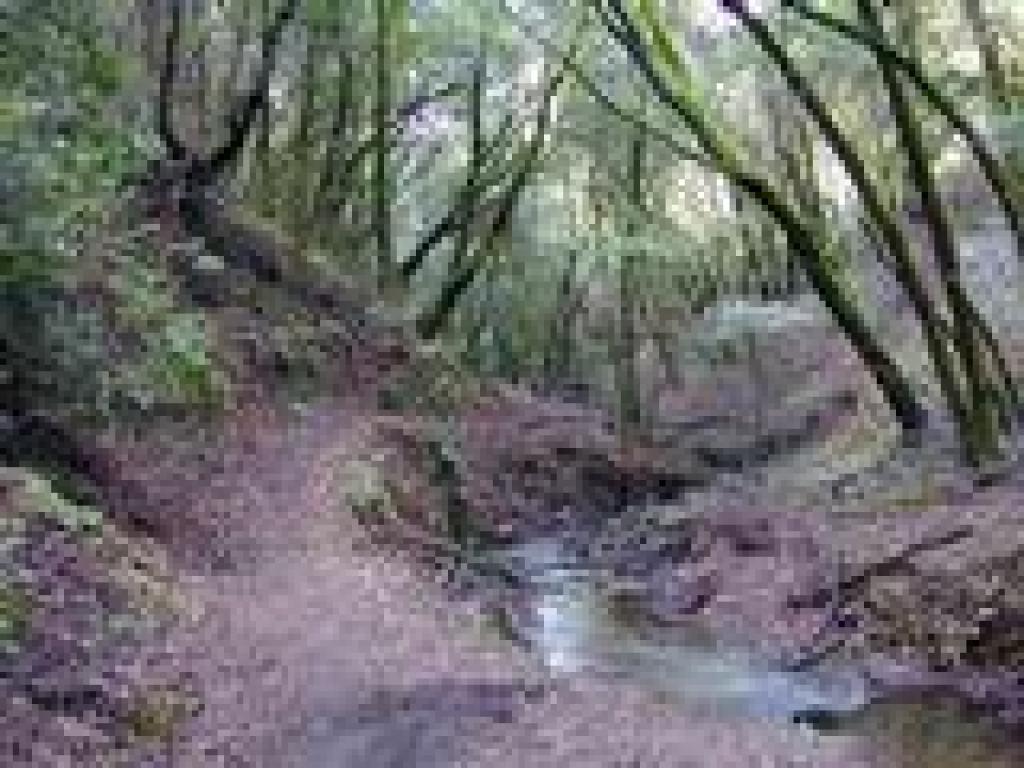 Adobe Creek Trail