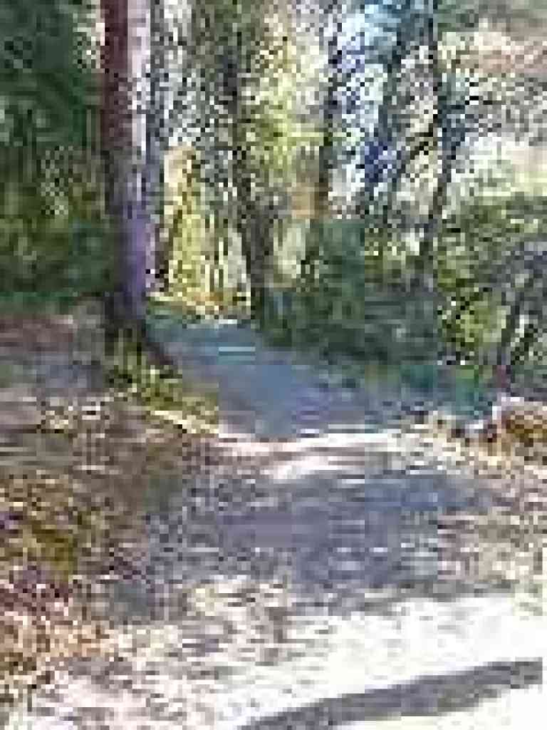 Dean Trail