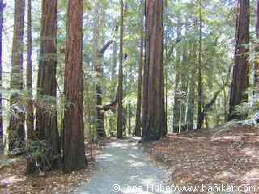 Crystal Springs Trail