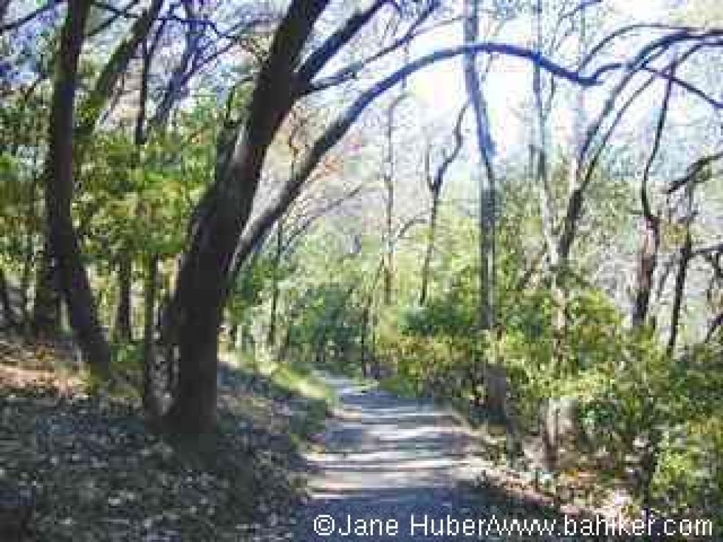 Returning on Dean Trail
