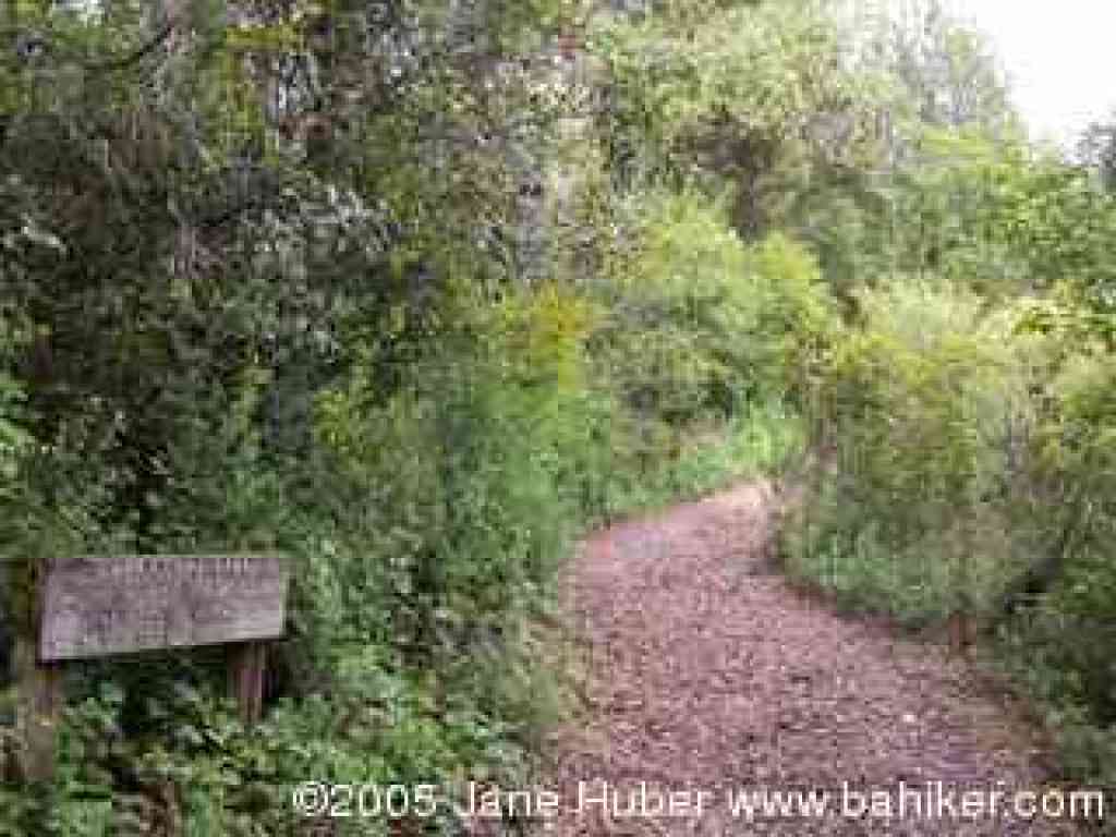Start of Larry Lane Trail