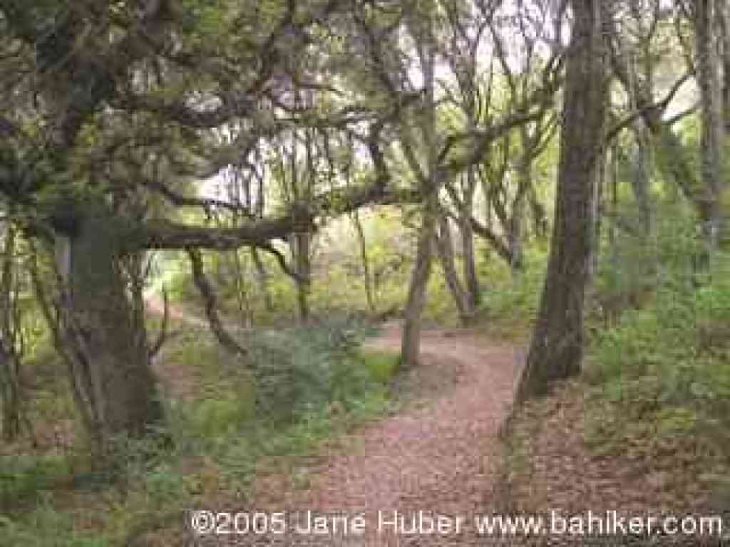 Larry Lane Trail
