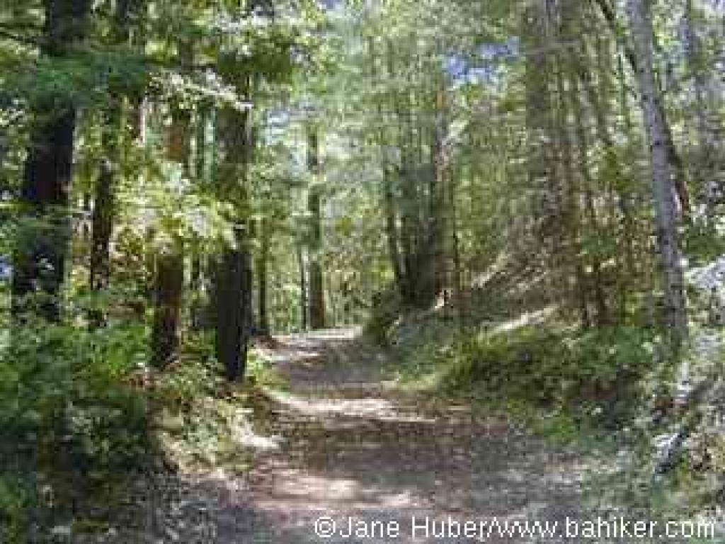 Highland Service Road