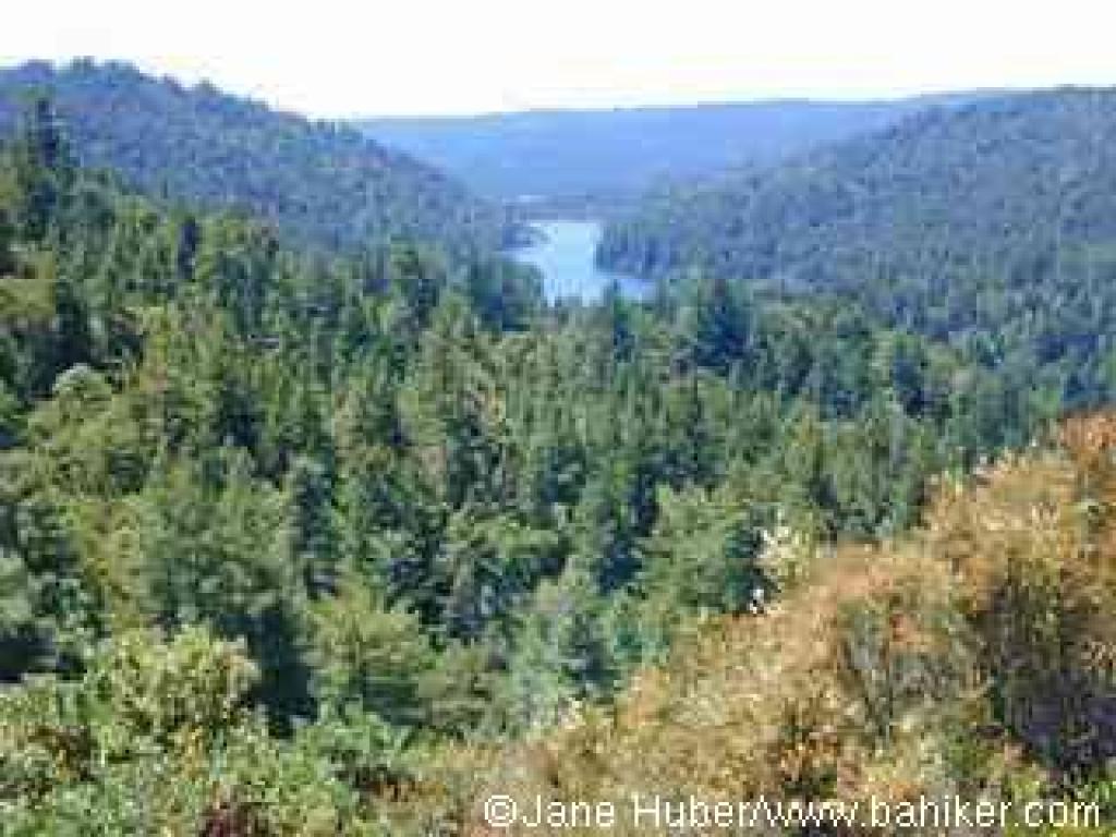 View down to the reservoir from a viewpoint on Highland Service Road
