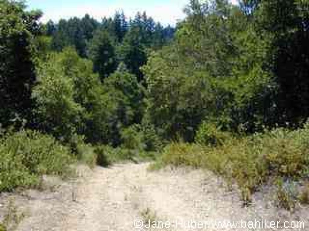 The start of a steep descent on Highland Service Road