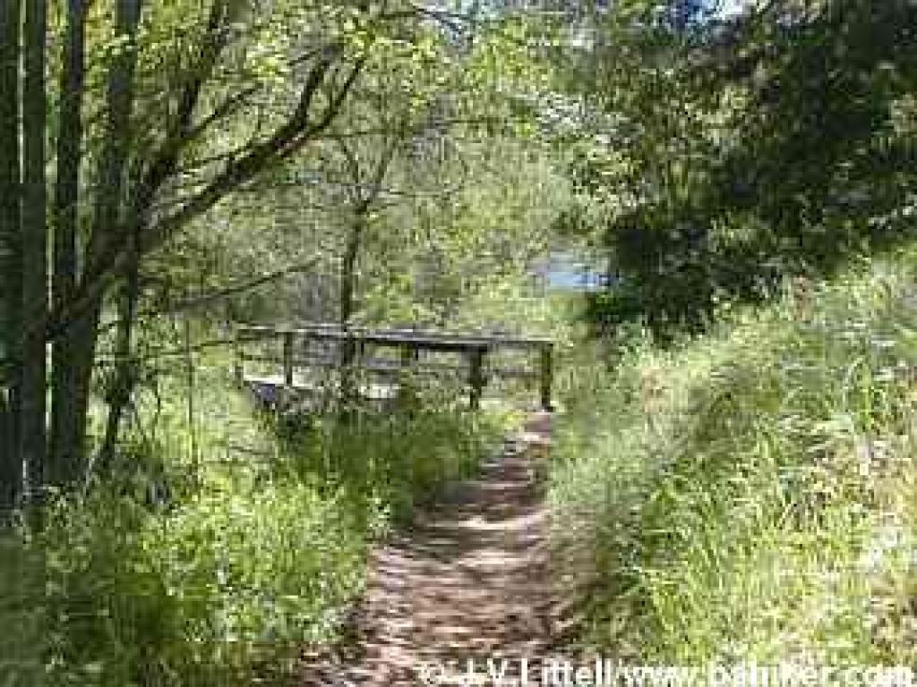 Bridge