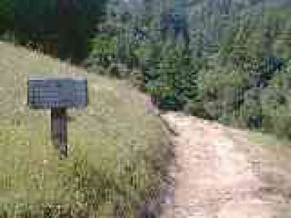 Peters Creek Trail