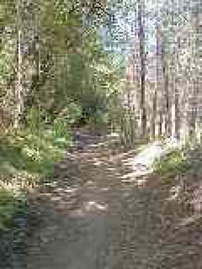 Peters Creek Trail