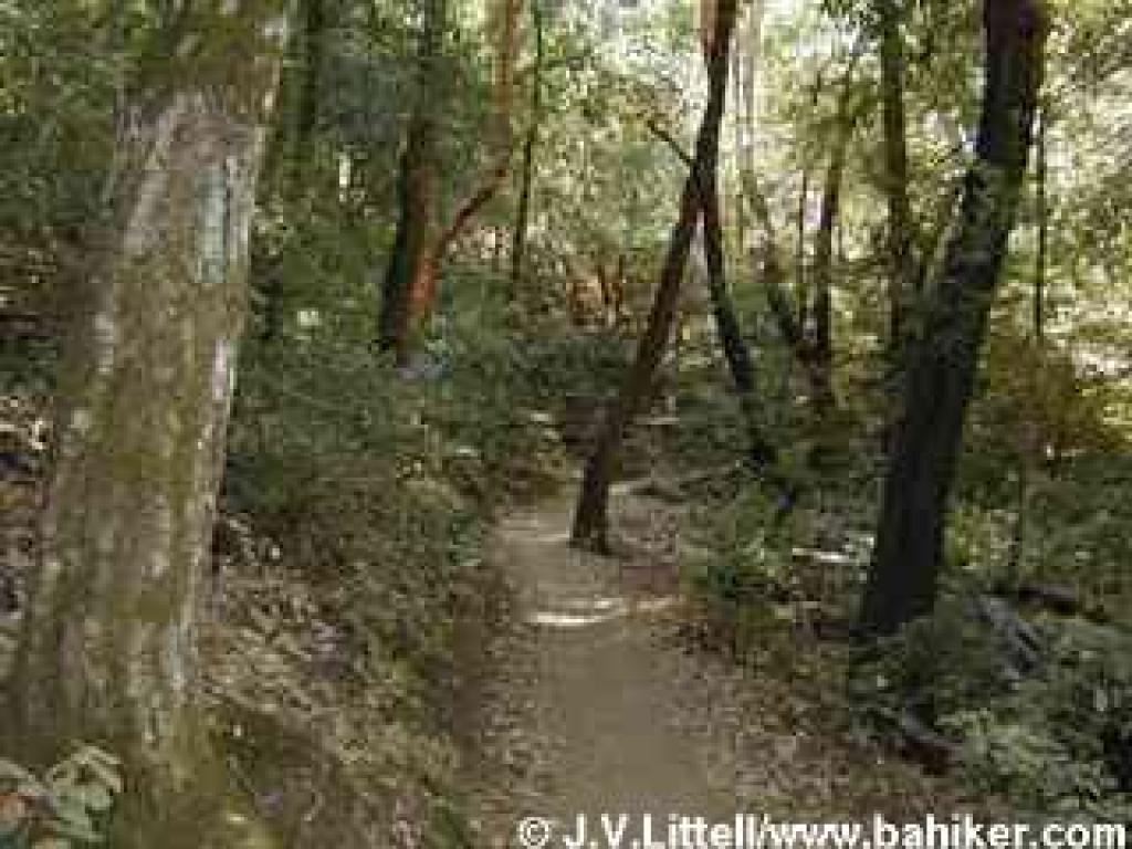 Long Ridge Trail