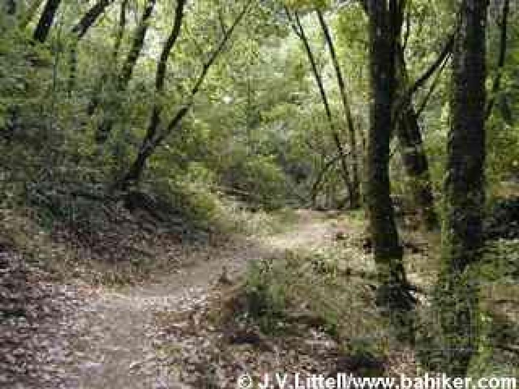 Lost Creek Loop Trail