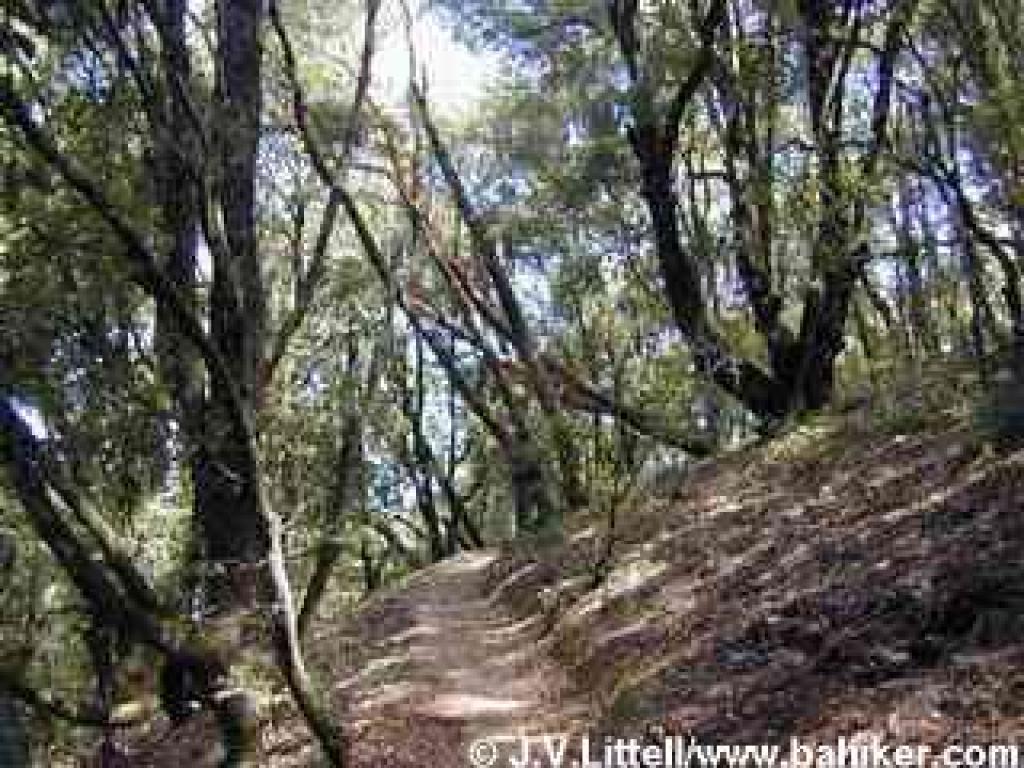 Lost Creek Loop Trail