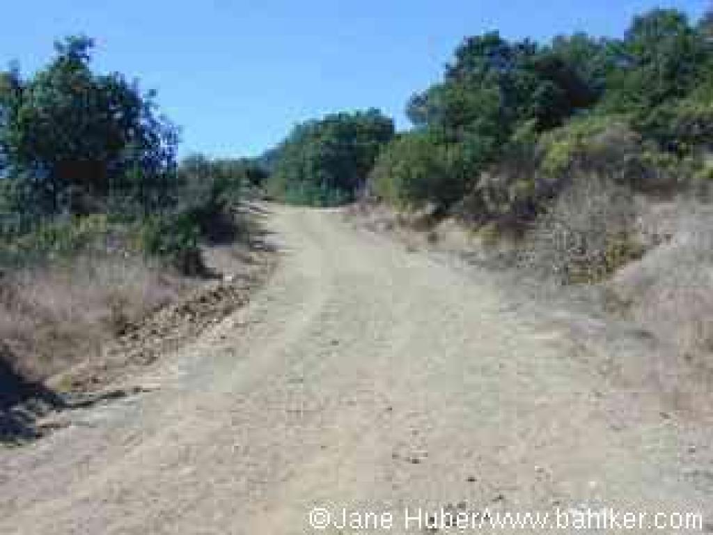 A steep climb through chaparral