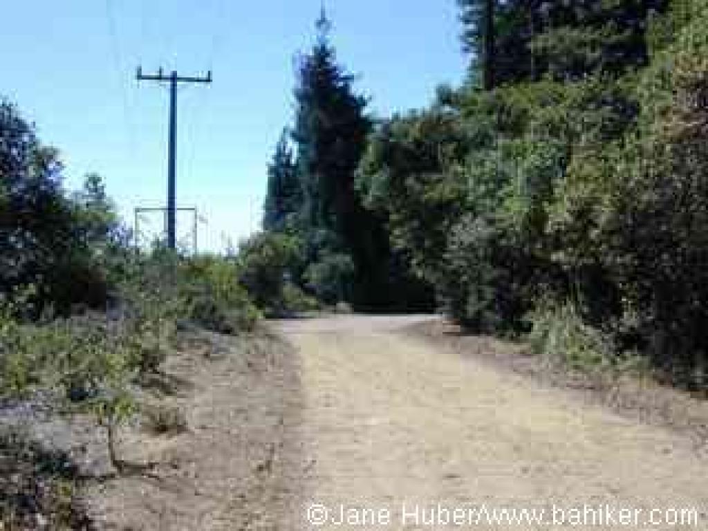 A level stretch on Loop Trail